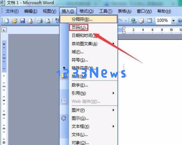 word2003中插入页码的方法