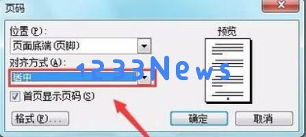 word2003中插入页码的方法