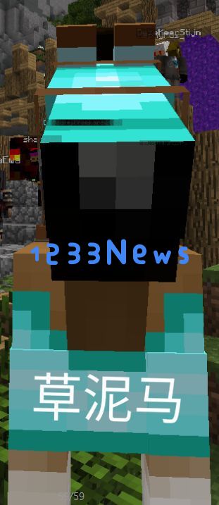 Minecraft多人游戏的发展历程及其对玩家社区的影响