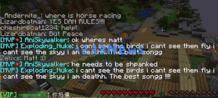 Minecraft多人游戏的发展历程及其对玩家社区的影响
