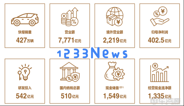 比亚迪：427.2万辆背后的故事与未来挑战