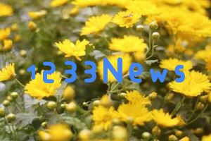 重阳节的传说与故事,探索四大名著中的重阳文化