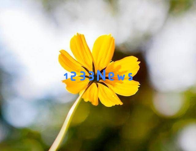 当枕边人变心背叛时,关注这两个细节找出真相,谨慎应对生活中的危机