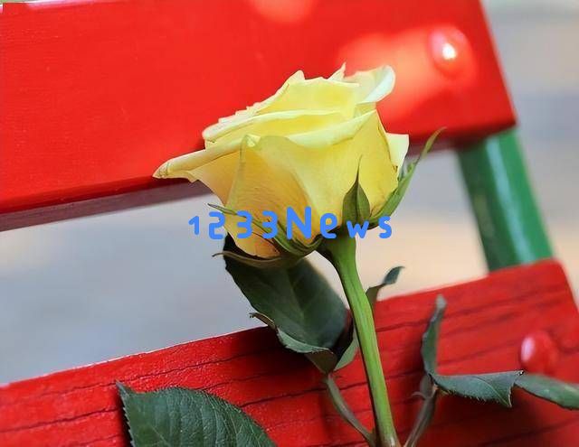 当枕边人变心背叛时,关注这两个细节找出真相,谨慎应对生活中的危机
