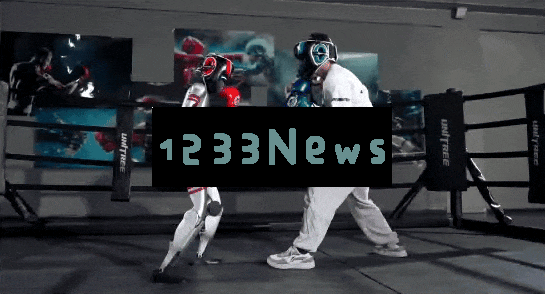 宇树机器人震撼复刻《铁甲钢拳》名场面：AI格斗技术引爆科技圈热议