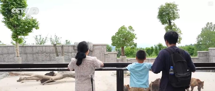 高铁助力、场景升级：文旅消费新动能迅速激发