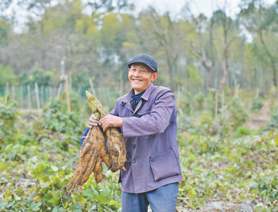 葛藤如何助力实现绿色生态奇迹（美丽中国·生态治理中的特色植物探秘②）