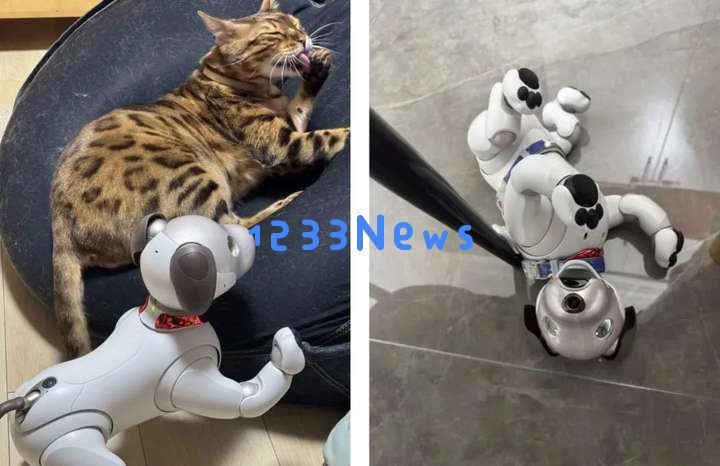 今年又一个火出海外的中国AI，萌翻了