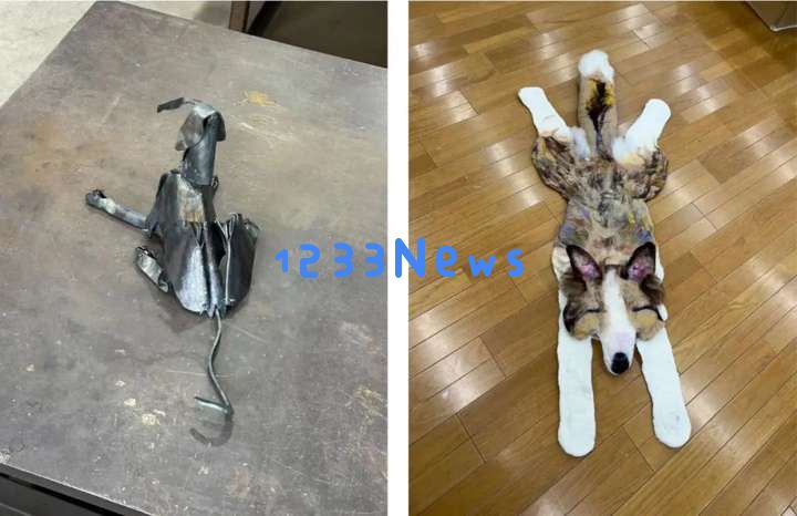 今年又一个火出海外的中国AI，萌翻了
