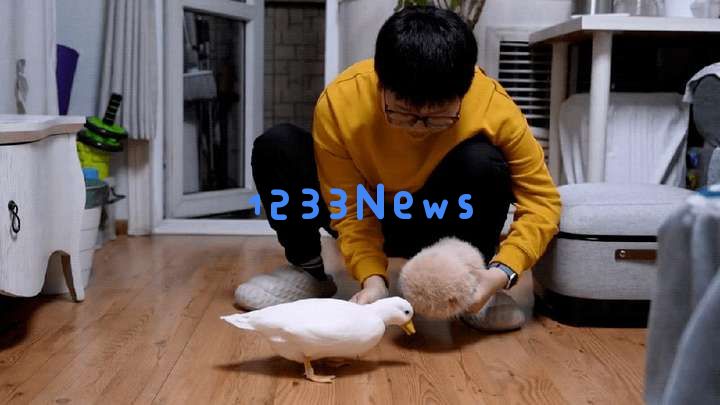 今年又一个火出海外的中国AI，萌翻了