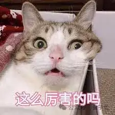 陶哲轩：o3-mini纠正了我一个数学错误，十分钟解决原本一小时才能完成的题目