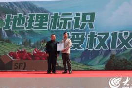 传统非遗与现代科技融合,烟台“海洋大集”助力乡村振兴新活力