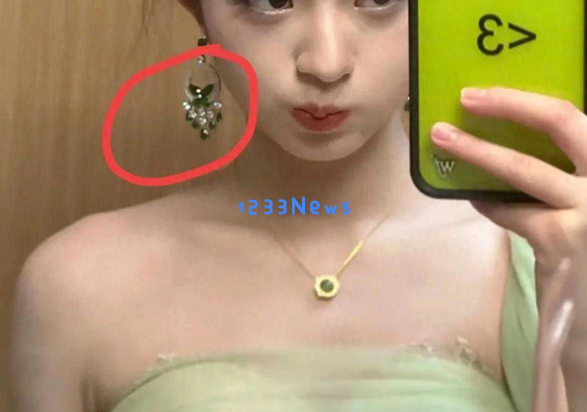 230万元耳环被怀疑为赝品,黄父回应后纪委介入调查展开取证程序