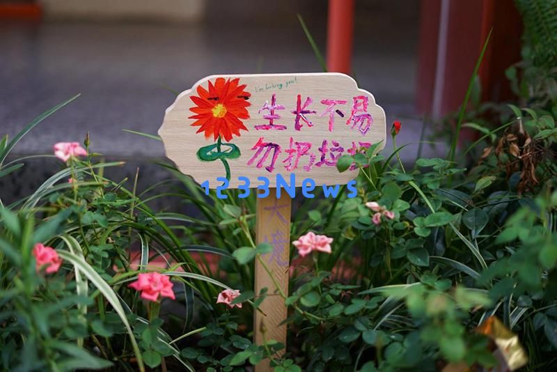 乐居淞园“绿梦共筑”多方协作共绘美好新局面