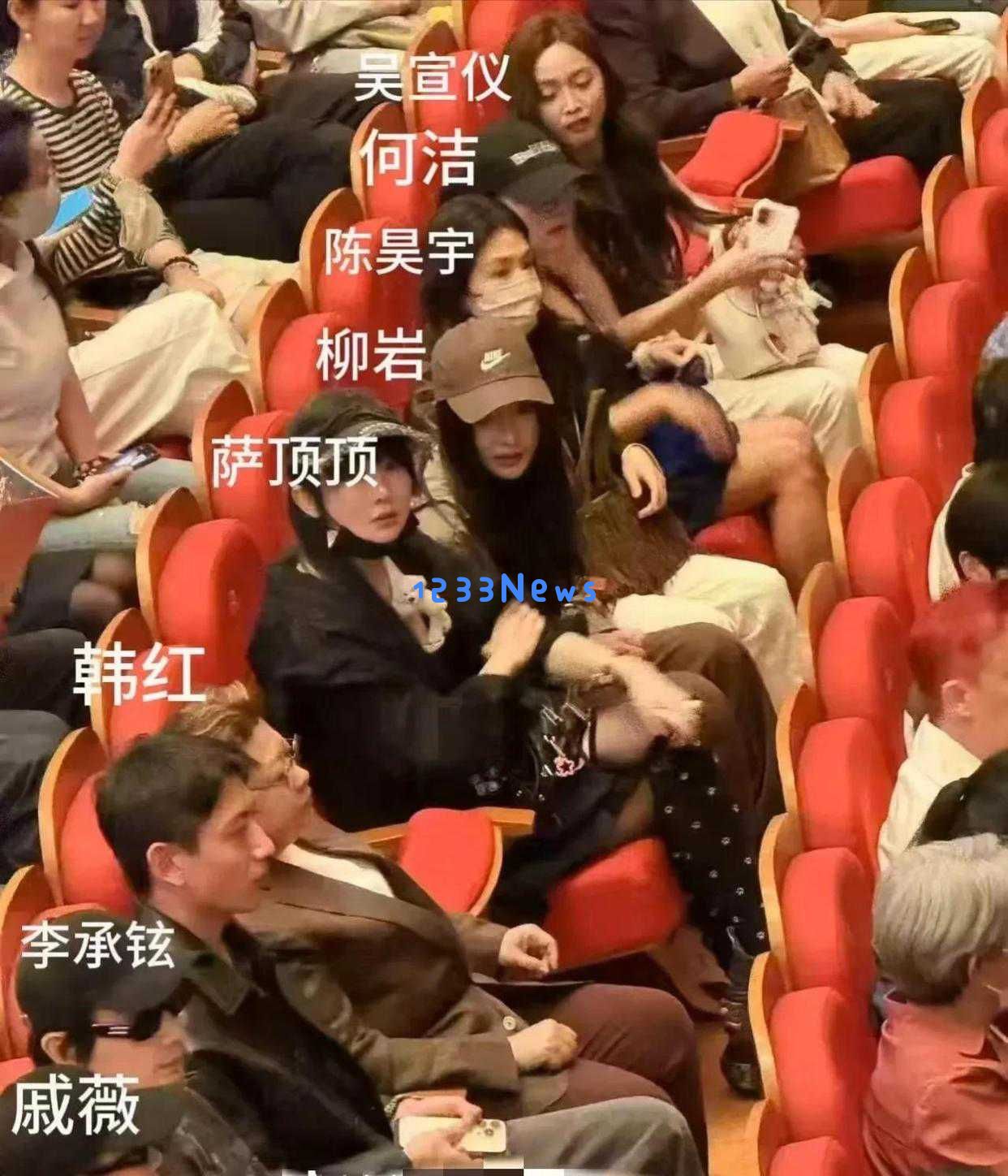 韩红点赞热潮不断,陈丽君大观园剧集引发全民追剧热情