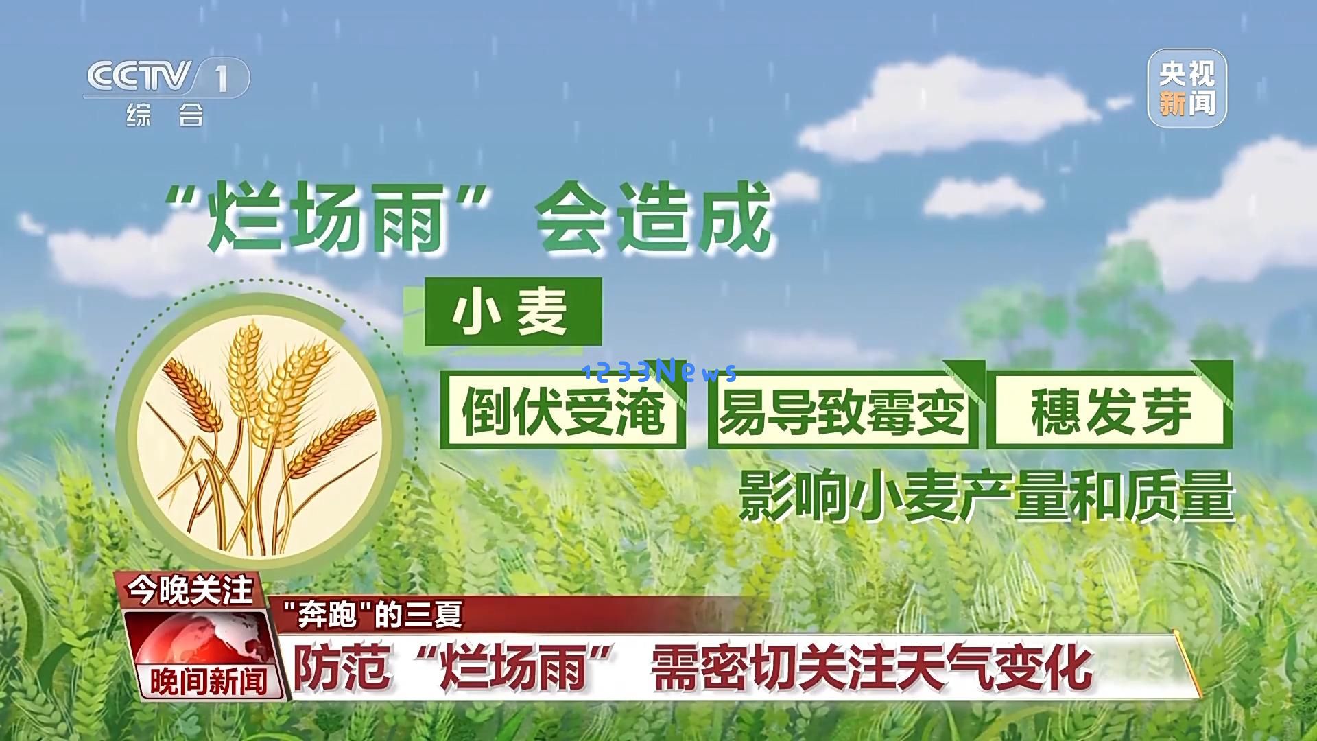今夏主要麦区会否出现“烂场雨”?我们该如何有效预防和应对?一文探讨