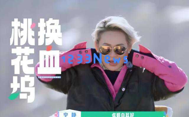 《桃花坞》第五季精彩回归,老面孔斑驳新星璀璨增多