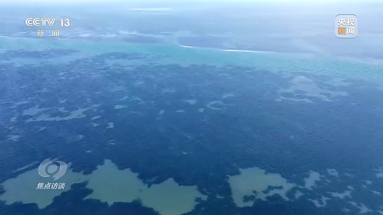聚焦海洋生态保护，守护人海和谐共存的美丽蓝色家园