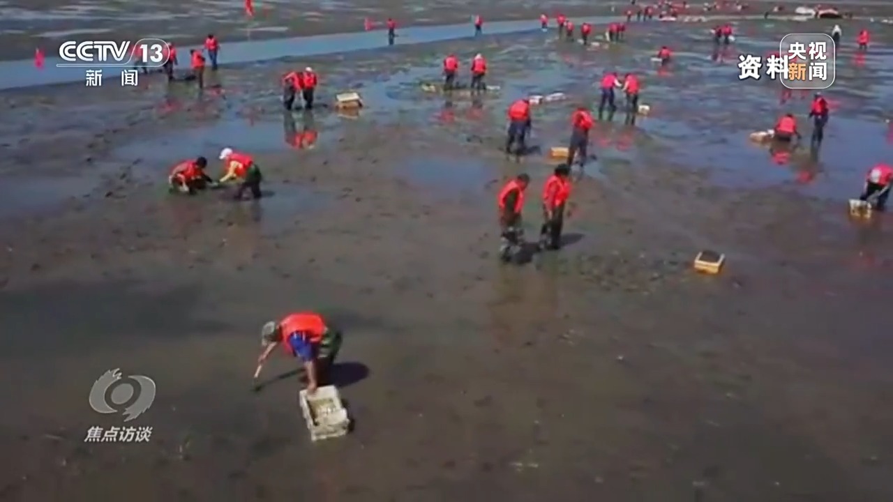 聚焦海洋生态保护，守护人海和谐共存的美丽蓝色家园