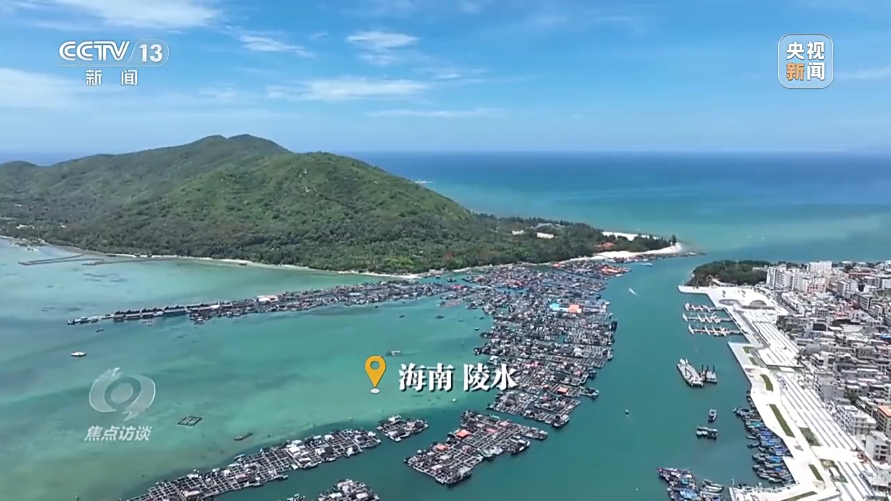 聚焦海洋生态保护，守护人海和谐共存的美丽蓝色家园