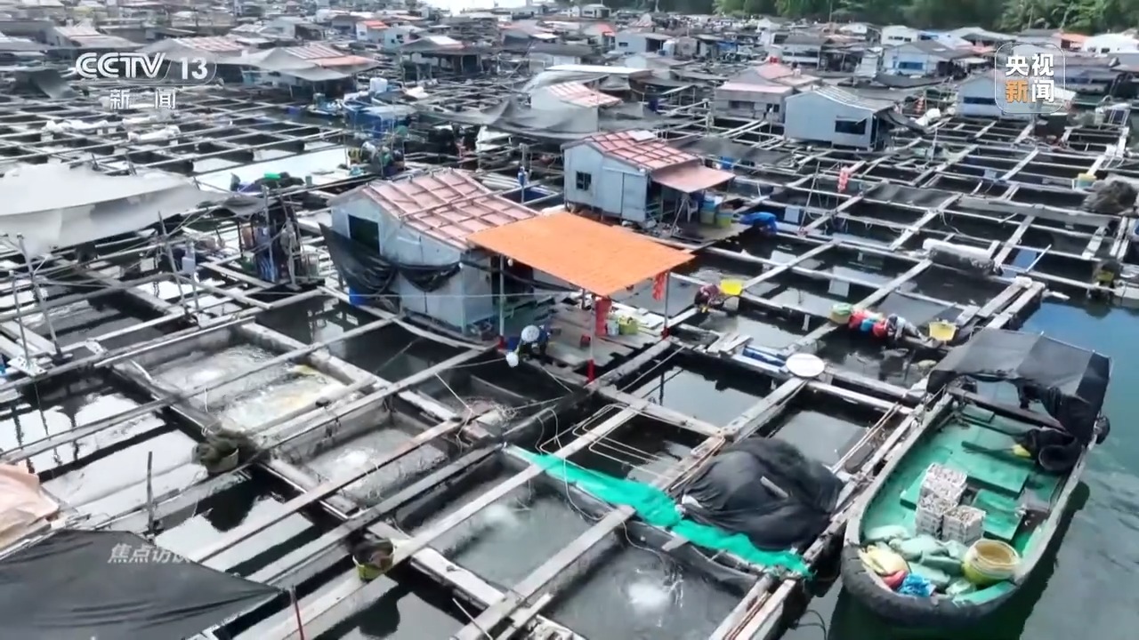 聚焦海洋生态保护，守护人海和谐共存的美丽蓝色家园