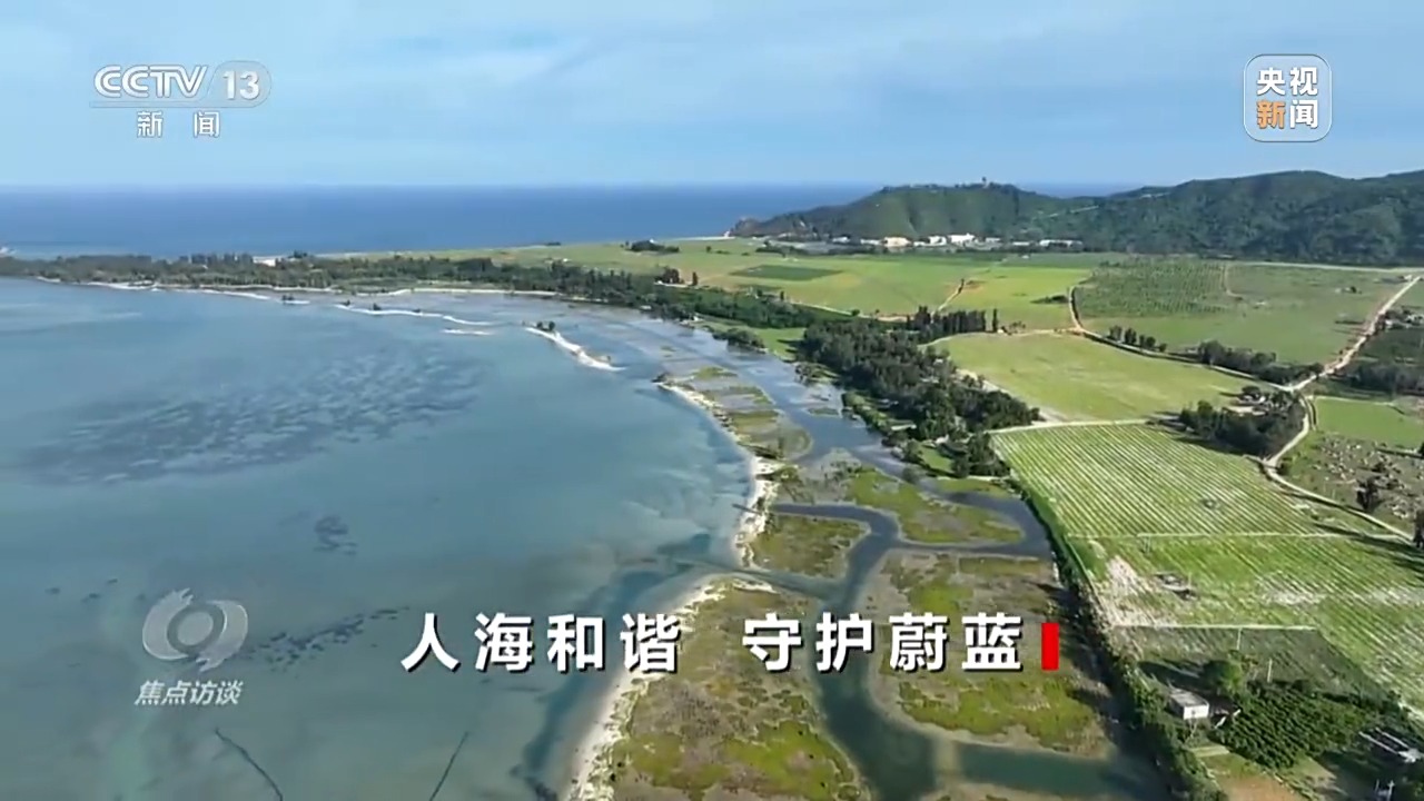 聚焦海洋生态保护，守护人海和谐共存的美丽蓝色家园