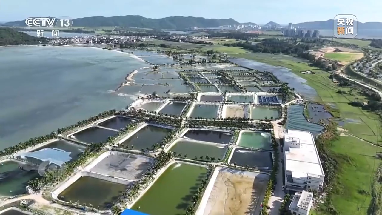 聚焦海洋生态保护，守护人海和谐共存的美丽蓝色家园