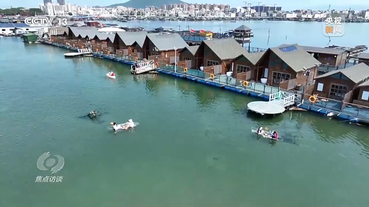 聚焦海洋生态保护，守护人海和谐共存的美丽蓝色家园