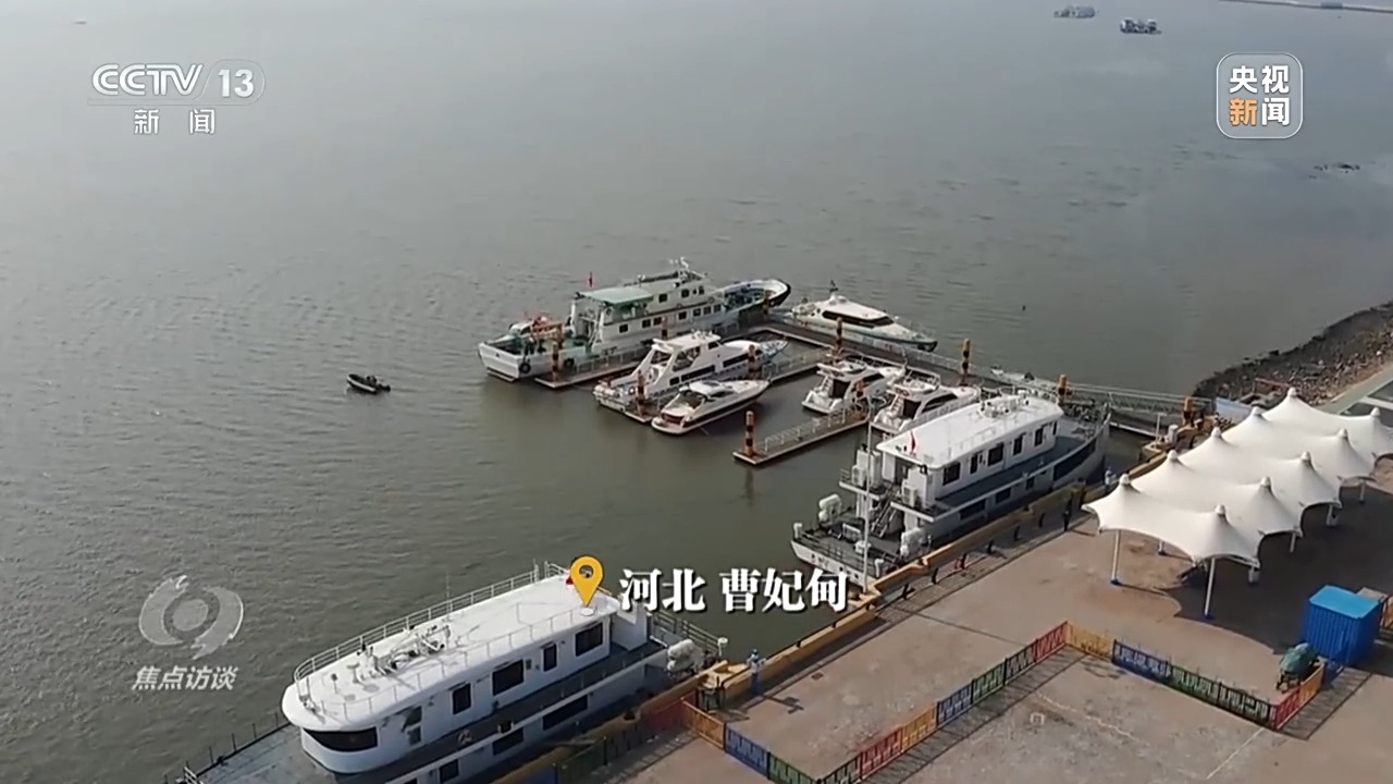 聚焦海洋生态保护，守护人海和谐共存的美丽蓝色家园