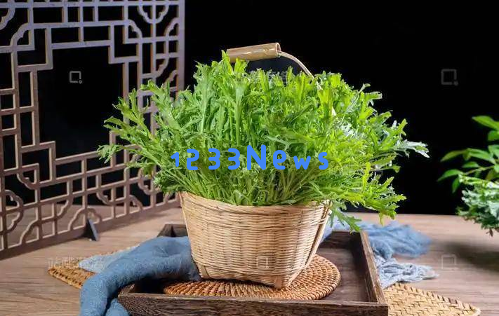 苦菊被越来越多的人关注!专家提醒食用苦菊时需要谨慎注意这三大要点
