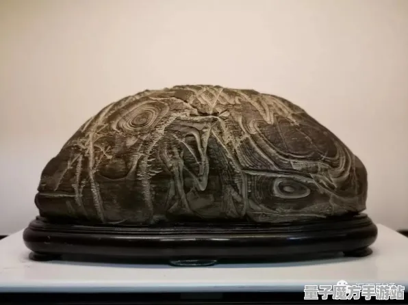 《炉石传说》插件设置-即时更新-每日修复-鸿蒙系统-挂机放置