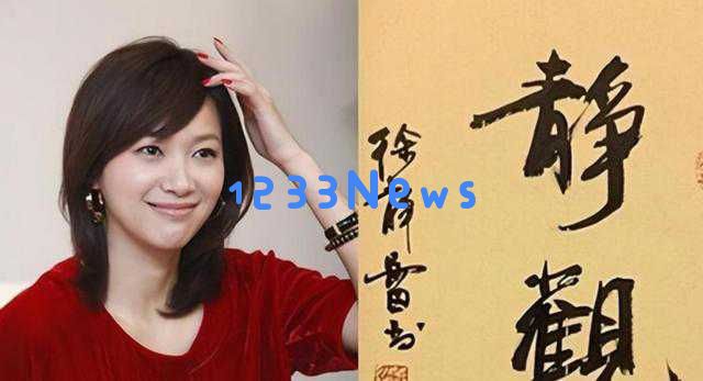 孙俪书法热潮引发热议,粉丝调侃不断,徐静蕾才女形象被重新审视