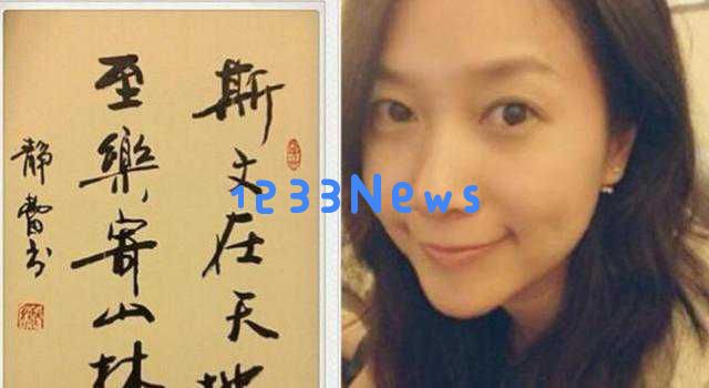 孙俪书法热潮引发热议,粉丝调侃不断,徐静蕾才女形象被重新审视