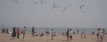 探索海洋经济新格局｜从沿海到深蓝潜力与动力齐飞扬