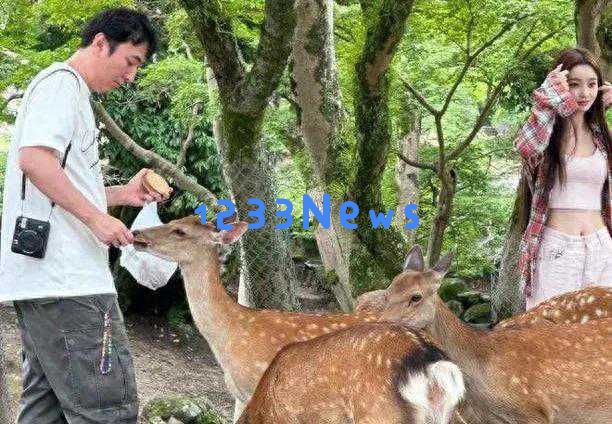 王思聪与伴侣浪漫巴黎之行,情侣鞋成为热门话题,引发网友热议