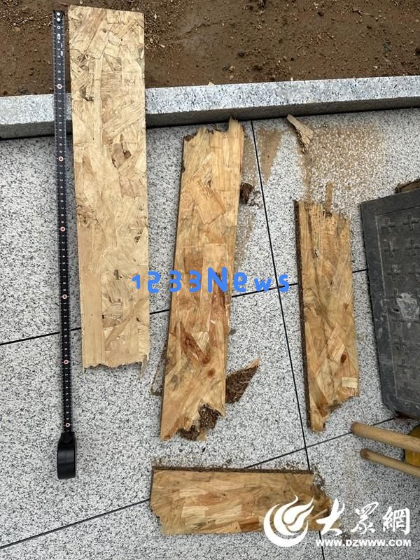 招远金潮格林春天小区高空抛物问题频繁出现新入住住户对安全隐患表示担忧