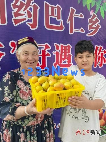 江西智慧育金果巴仁杏甜蜜醉人南疆大地,助力乡村振兴与经济发展