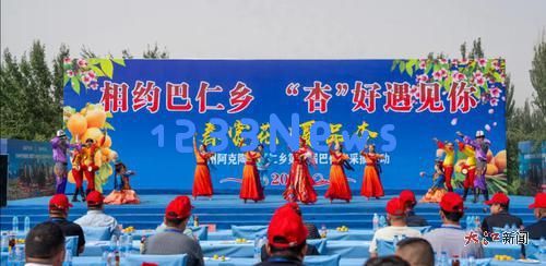 江西智慧育金果巴仁杏甜蜜醉人南疆大地,助力乡村振兴与经济发展
