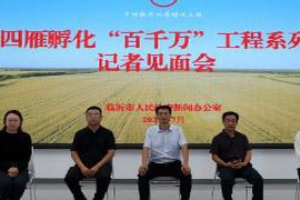 15年奋斗,平邑县武台镇葡萄合作社成功逆袭,从裂果到年销售突破千万!
