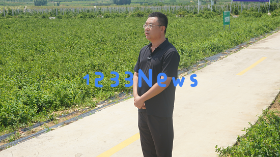 平邑县田野自然合作社加强品牌建设激活“雁阵”发展动力提升市场竞争力