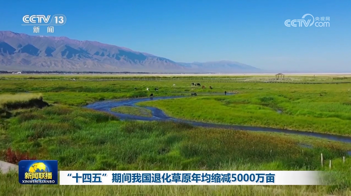 “十四五”时期我国退化草原每年减少约5000万亩面临严重生态挑战