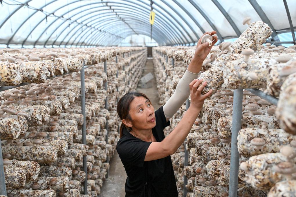 牢记历史铭刻先贤精神丨山河共振
