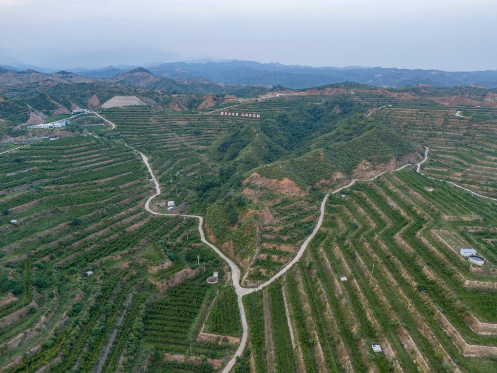 牢记历史铭刻先贤精神丨山河共振