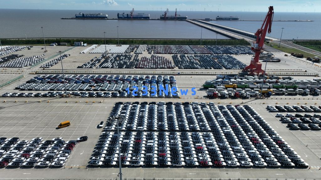 “国车出海”新进展,上海南港全新开通澳新直航班轮航线