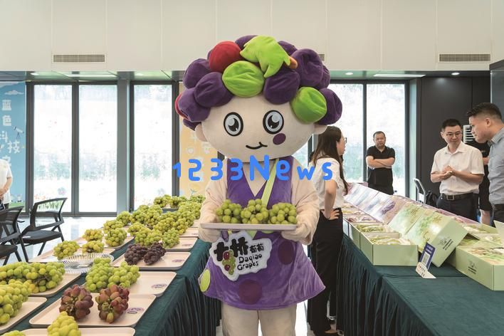 大桥镇:如何在全国“百强”中实现蝉联,探寻“破局之道”