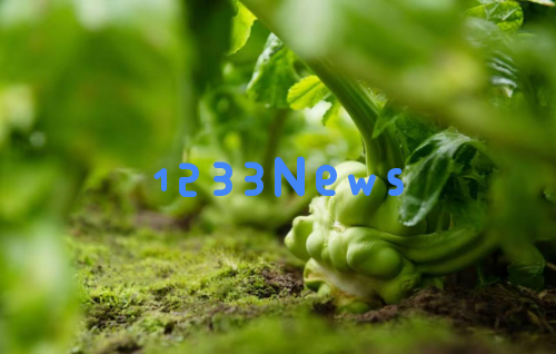 涪陵榨菜集团推出“只有乌江”高端系列新品,首次亮相重庆北站和江北机场!