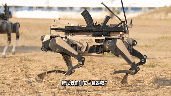 “机器狼”华丽登场!外表可爱却具备超强战斗能力!