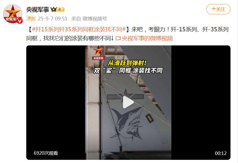 从轻巧滑跃到强力弹射!双“鲨”并列 涂装细节大比拼 从轻巧滑跃到强力弹射!双“鲨”并列 涂装细节大比拼