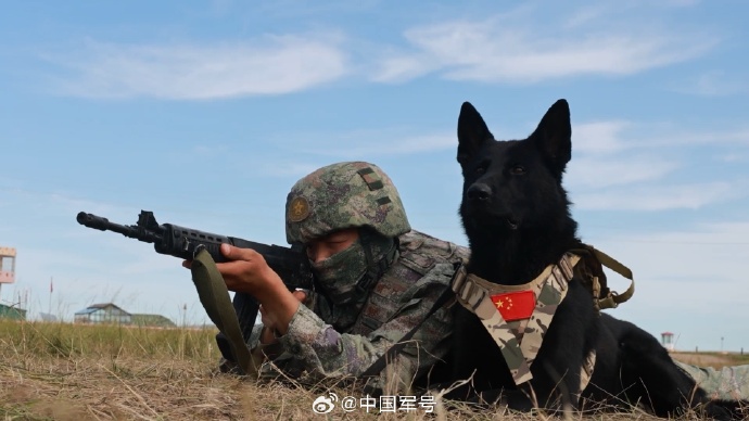 中俄蒙三国联合举办“边防合作2025”演习,强化边境安全与合作机制 中俄蒙三国联合举办“边防合作2025”演习,强化边境安全与合作机制