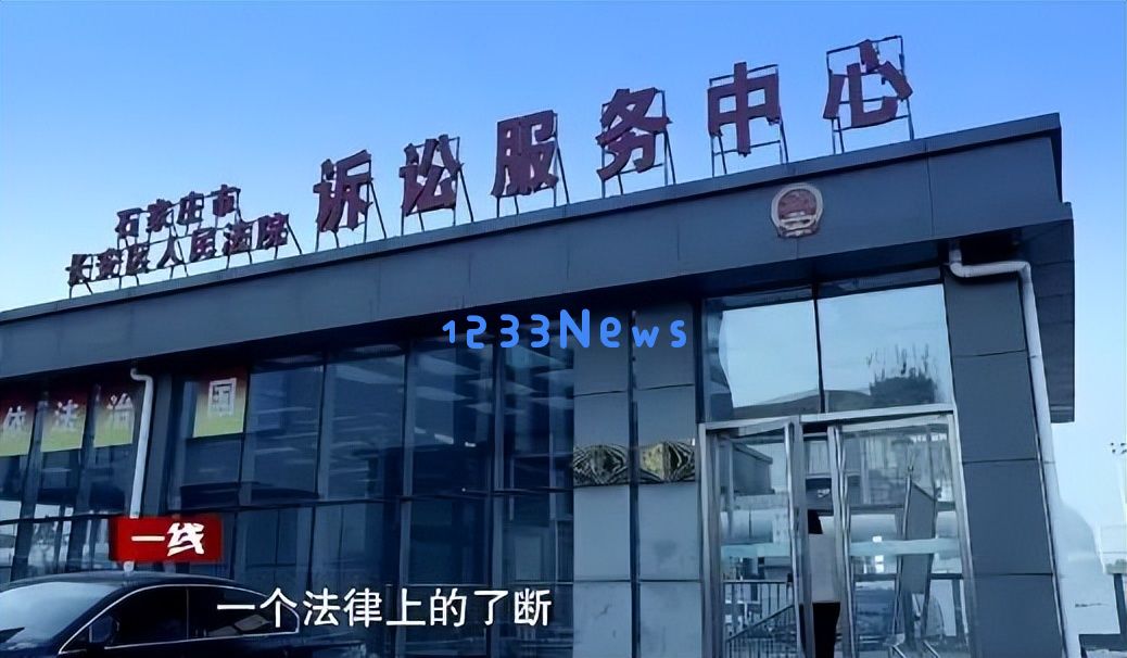 新婚妻子苦等六年,丈夫称“执行秘密任务”失踪,法院调查揭露其真实身份竟是逃犯